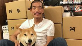 十二夜,阿原肥皂,江榮原,柴犬,養狗,棄養
臉書