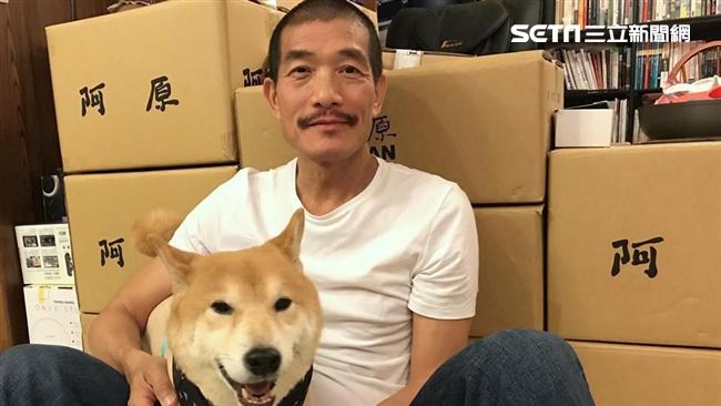 責任推陌生人？他嘆狗傷心望門嗚嗚啼