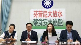 國民黨團痛批雞蛋含芬普尼容量標準放寬。圖／記者李英婷攝