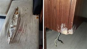 高雄,租屋,房東,香菸,屎尿,寵物,傢俱,房客（圖／翻攝自臉書爆料公社）