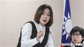 國民黨立委馬文君。 圖／記者林敬旻攝