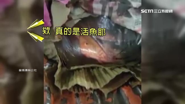 紙箱破洞…竟和活魚對眼　嚇壞宅配員