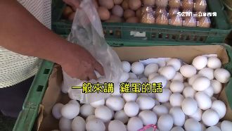 清水洗雞蛋會變質？醫：不洗恐腹瀉