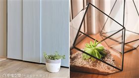 名家專用／幸福空間／2大植栽佈置原則，居家質感立刻升級！（勿用）