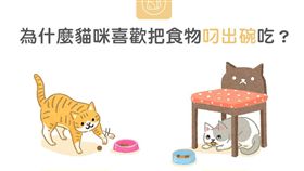 名家／毛起來／為什麼貓咪喜歡把食物叼出碗吃？