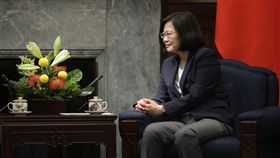 總統蔡英文接見亞太經濟合作經濟（APEC）領袖會議代表團。（總統府提供）