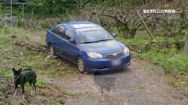 7旬翁墓園迷航受困　靈犬助警尋車
