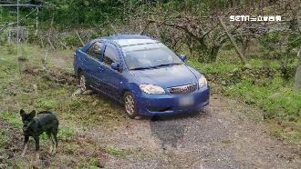 7旬翁墓園迷航受困　靈犬助警尋車