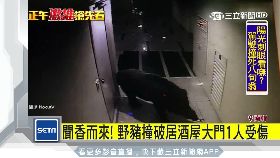 f韓豬鬧酒家1200