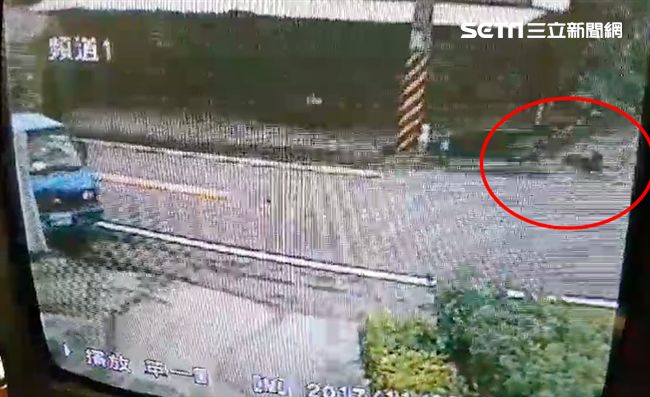 八旬夫妻騎車閃狗！遭對向貨車輾爆頭
