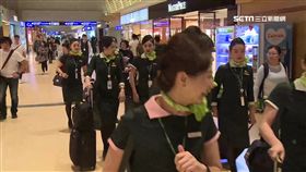 長榮航空新裝登場！領片顏色藏秘密