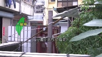 惡鄰花圃放暗箭　他怒拿八卦鏡還擊