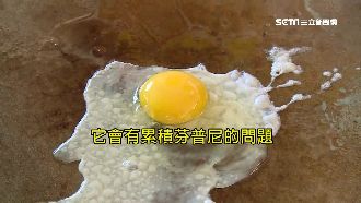 雞肉芬普尼比蛋更毒　醫師闢謠這樣說