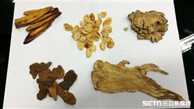 生化湯藥方為當歸、川芎、桃仁、生甘草及炮薑等五味藥。（圖／記者楊晴雯攝）