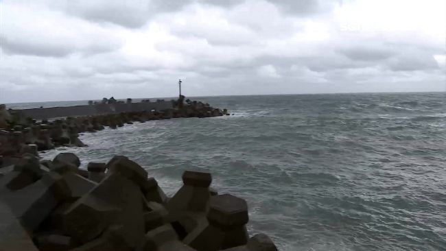 脛骨還連著…加國海邊飄第13隻斷腳