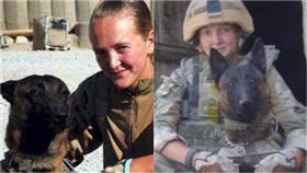 安樂死,軍犬,英國,國防部,Kevin,Dazz,官兵,Andy McNab,Defence Animal Centre,領養　組合圖／翻攝自The Sunhttps://goo.gl/gMXnPW