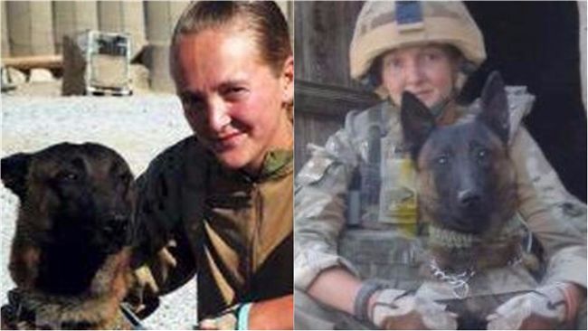 軍犬被「用完即丟」　引同事不滿上書
