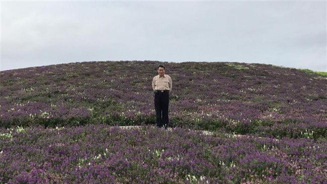 柯P發一人的花海照　網：邊緣人QQ