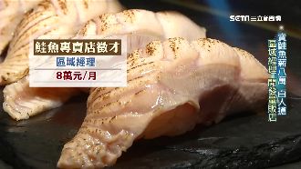百人搶賣鮭魚！月薪8萬、3年再加薪
