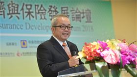 行政院副院長施俊吉出席「2018年經濟與保險發展論壇」。（行政院提供）