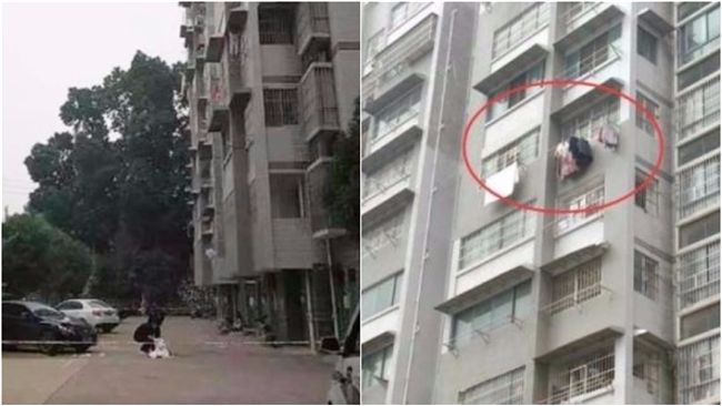 5歲童離奇墜樓！鄰居：奶奶扔下去的