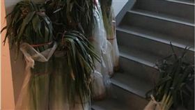 鄰居,山東,大蔥,章丘,大陸,中國,禮物　圖／翻攝自微博