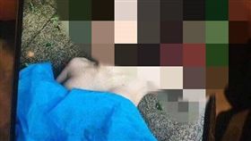 任嬌墜樓／微博