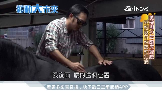 全台唯一國際認證馬獸醫　最憂這件事