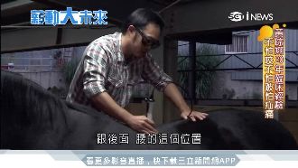 全台唯一國際認證馬獸醫　最憂這件事