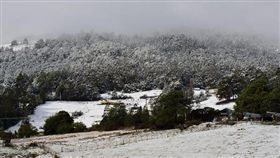 澳洲,塔斯馬尼亞,Tasmania,夏天,下雪,暴風雪(推特)