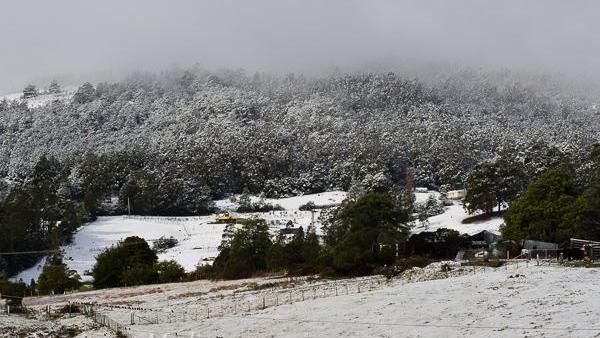 南半球天氣異常　炎熱夏季卻迎暴風雪