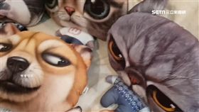 抗寒,禦寒,小物