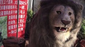 騙很大！海南島驚見仿真動物園 獅子老虎攏是機械玩具（圖／大陸網站）