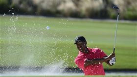 ▲老虎伍茲在英雄世界挑戰賽拿下第9名，世界排名躍升。（圖／美聯社／達志影像）