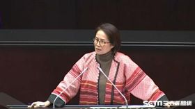 立委高金素梅唱情歌抗議原住民轉型正義被忽略，圖／截取立院轉播系統