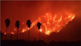 加州,森林大火,野火,洛杉磯,Ventura County　圖／翻攝自CAL FIRE推特