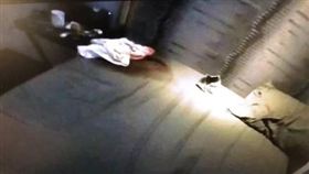 陸男被父母討錢,割腕、服毒輕生(微博)