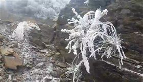 玉山,下雪／翻攝畫面