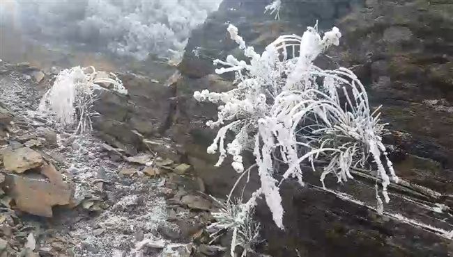 玉山降雪啦！氣象局：這禮拜還有機會