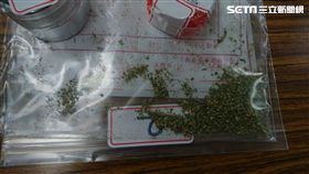 新北市,八里,下罟子,毒品,大麻,大麻工廠,大麻大師