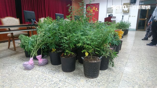 門徒翻版！　大師返台種植大麻被逮