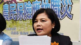 吸引青年返鄉務農  藍委籲農保納職災國民黨籍立法委員張麗善（右）19日表示，為吸引青年返鄉務農，讓農業永續經營，以及不要讓農民做到死才有保障，要求行政院農業委員會在本會期完成農民保險納入職災保險相關修法。中央社記者施宗暉攝  106年10月19日