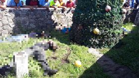 圖／翻攝自Primera Línea‏推特