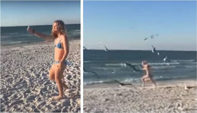 少女沙灘餵海鷗　這一幕讓她當場嚇瘋