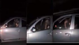 阿根廷,Jujuy,9號公路,車震(YouTube)