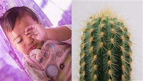 仙人掌,跌倒,插眼珠,顯微鏡,肉眼,點眼藥水,刺,手術,大陸,浙江,金華,小孩,男童　示意圖／翻攝自pixabay　https://goo.gl/gJShNo（揉眼）　https://goo.gl/Kne6br（仙人掌）