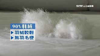 棉被羽絨含量多寡　恆溫效果差很大