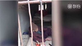禽獸不如！孽子鎖93歲老母住進豬籠　坐水泥地、吃冷飯
翻攝自微博《時間視頻》