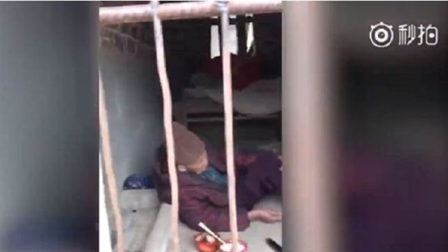 子鎖93歲母住豬籠　坐水泥地吃冷飯