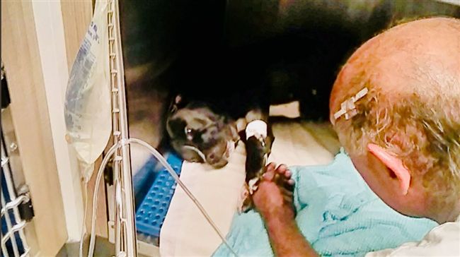 見惡霸向主人開槍　忠犬衝出擋2子彈